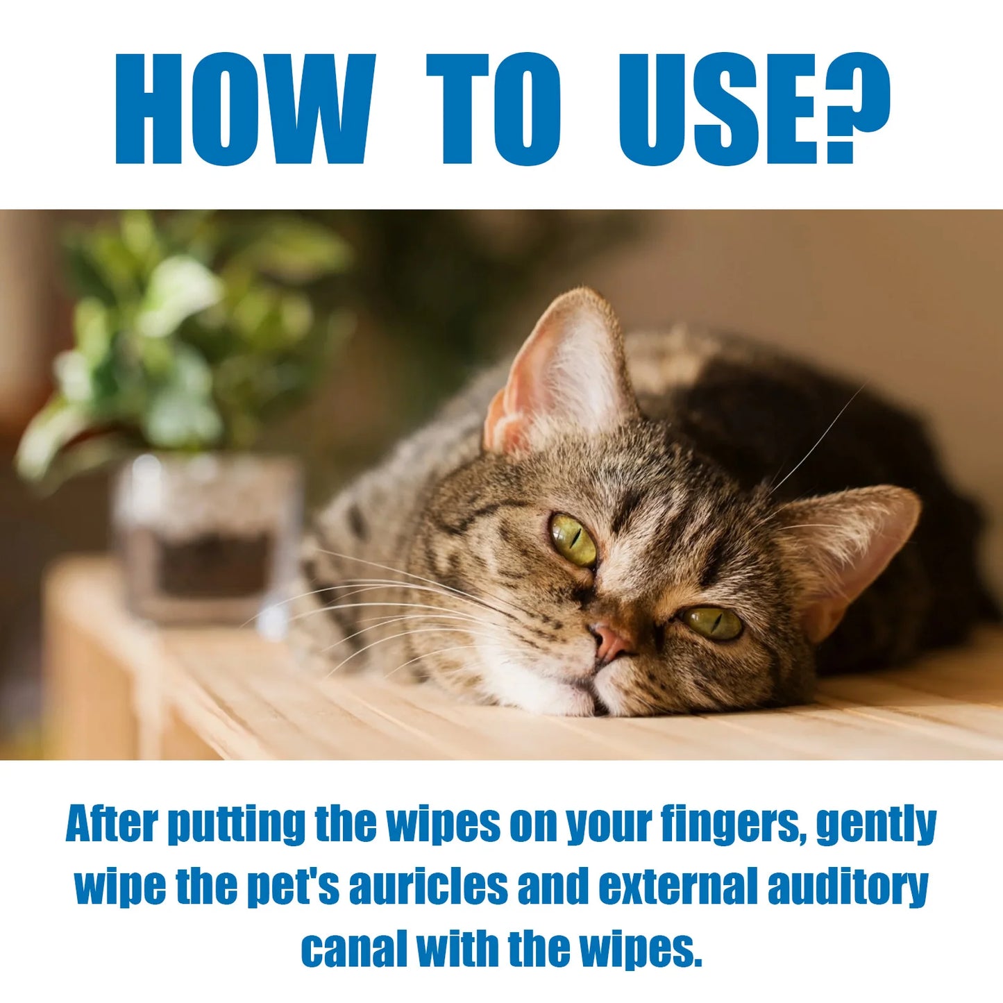 VetMotion Ear Cleaning Wipes